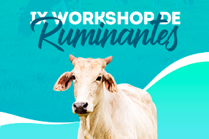 Ix Workshop De Ruminantes Cat Lica Do Tocantins